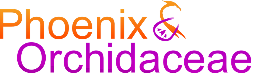 Phoenix & Orchidaceae